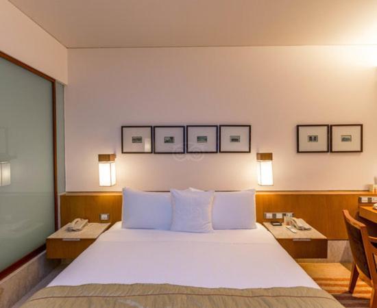 Hotel Plaza International Near Delhi Airport Nueva Delhi Exterior foto